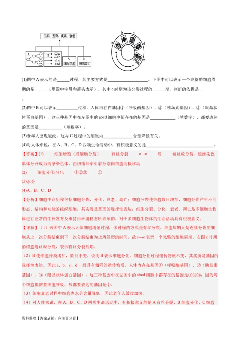 专题03细胞的生命历程（讲义）（解析版）_新高考复习资料_2024年新高考复习资料_二轮复习资料_高频考点解密2024年高考生物二轮复习高频考点追踪与预测（新高考专用）_讲义
