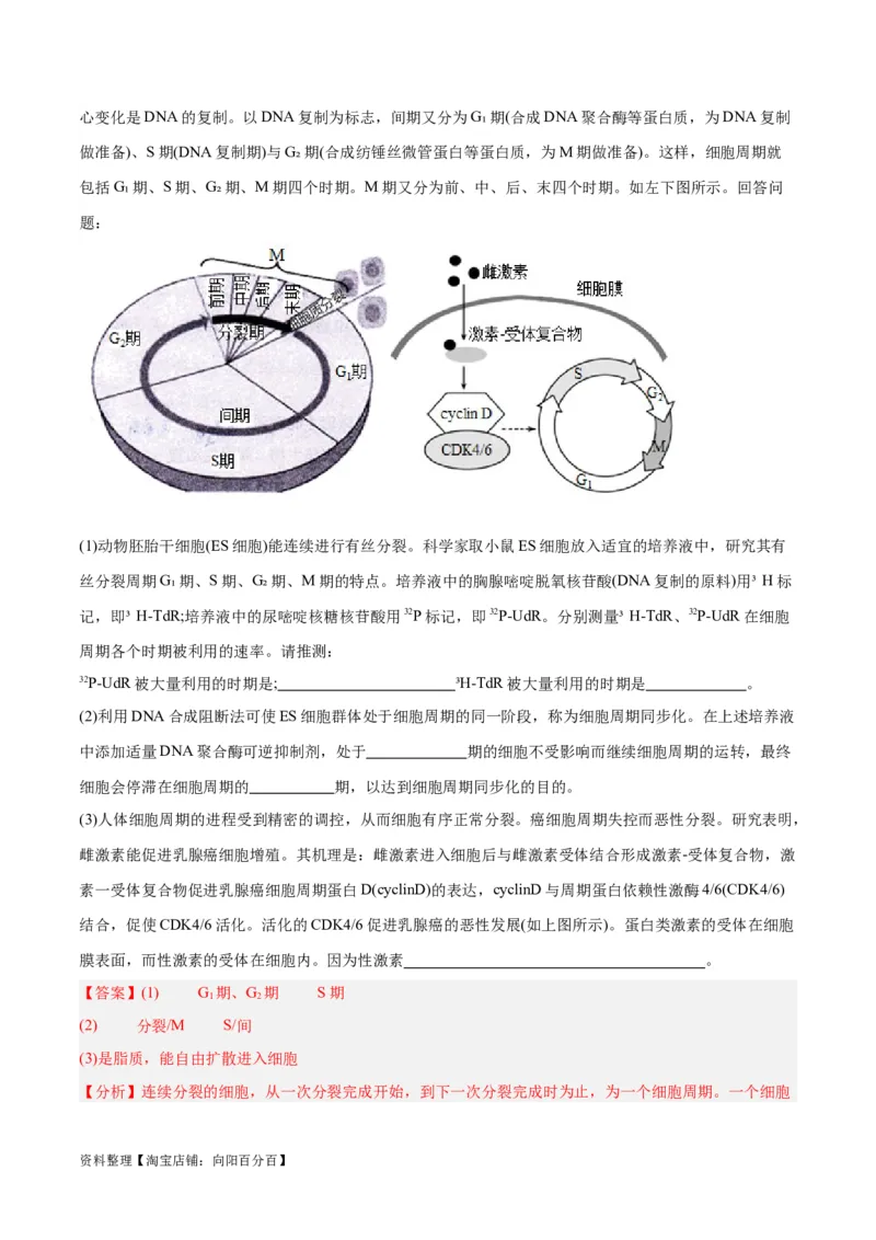 专题03细胞的生命历程（讲义）（解析版）_新高考复习资料_2024年新高考复习资料_二轮复习资料_高频考点解密2024年高考生物二轮复习高频考点追踪与预测（新高考专用）_讲义