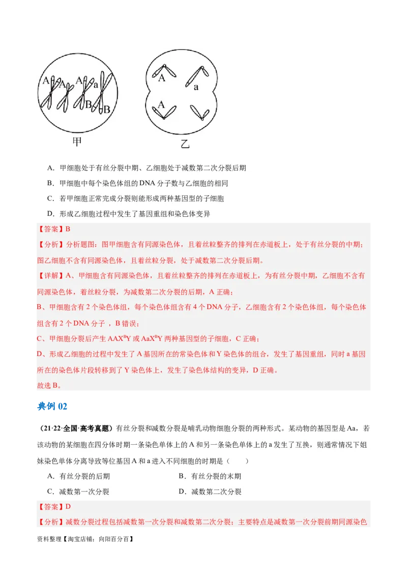 专题03细胞的生命历程（讲义）（解析版）_新高考复习资料_2024年新高考复习资料_二轮复习资料_高频考点解密2024年高考生物二轮复习高频考点追踪与预测（新高考专用）_讲义