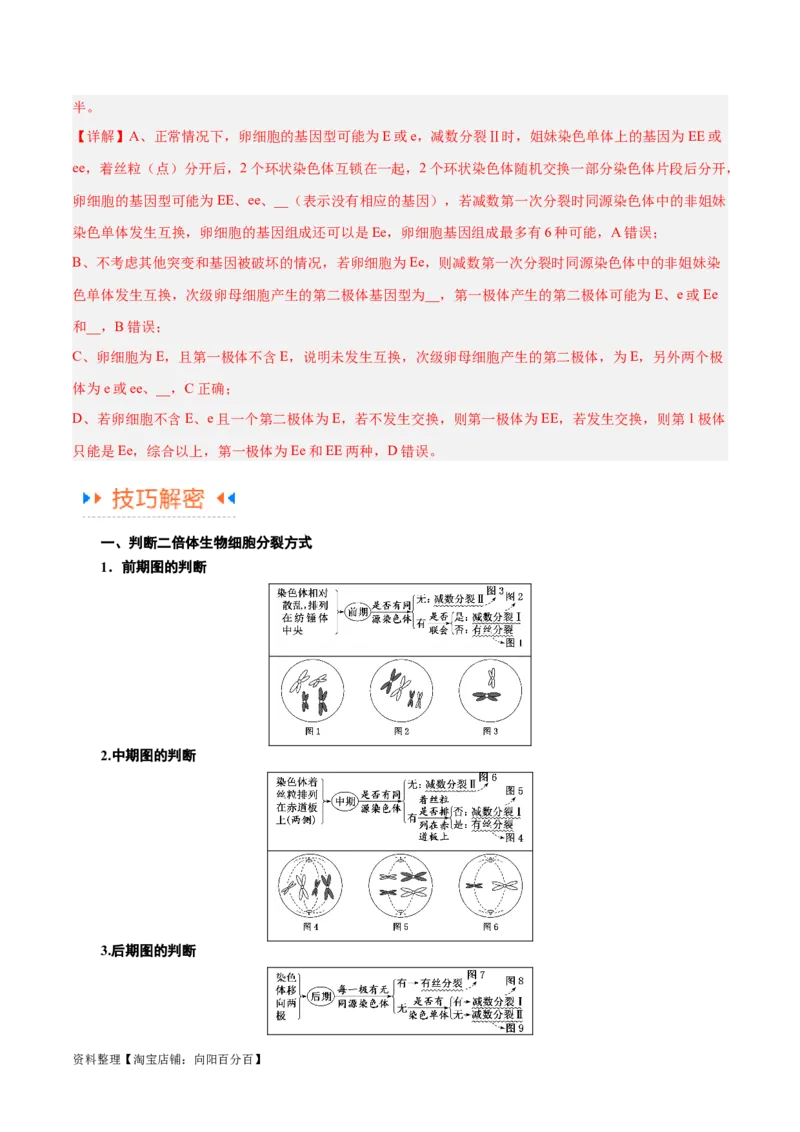 专题03细胞的生命历程（讲义）（解析版）_新高考复习资料_2024年新高考复习资料_二轮复习资料_高频考点解密2024年高考生物二轮复习高频考点追踪与预测（新高考专用）_讲义