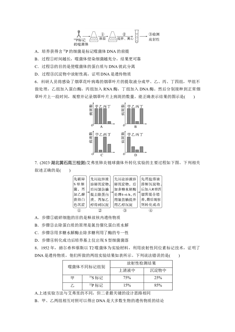 第6单元　课时练1　DNA是主要的遗传物质_2024年新高考资料_1.2024一轮复习_2024年高考生物一轮复习讲义（新人教版）_学生版在此文件夹_一轮复习69练_第六单元　遗传的物质基础