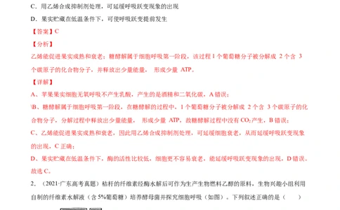 专题03细胞呼吸与光合作用-2021年高考真题和模拟题生物分项汇编（解析版）_新高考复习资料_2022年新高考复习资料_2021年高考真题和模拟题生物分项汇编7.30更新