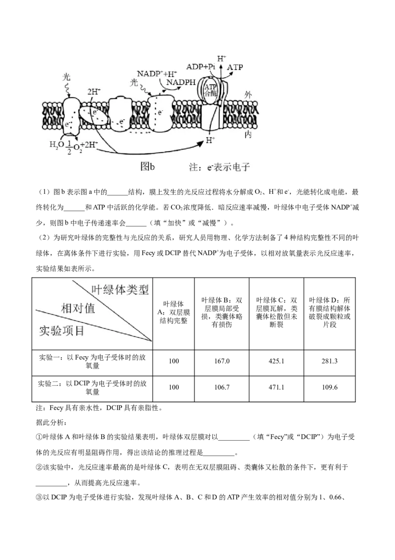 专题03细胞呼吸与光合作用-2021年高考真题和模拟题生物分项汇编（解析版）_新高考复习资料_2022年新高考复习资料_2021年高考真题和模拟题生物分项汇编7.30更新