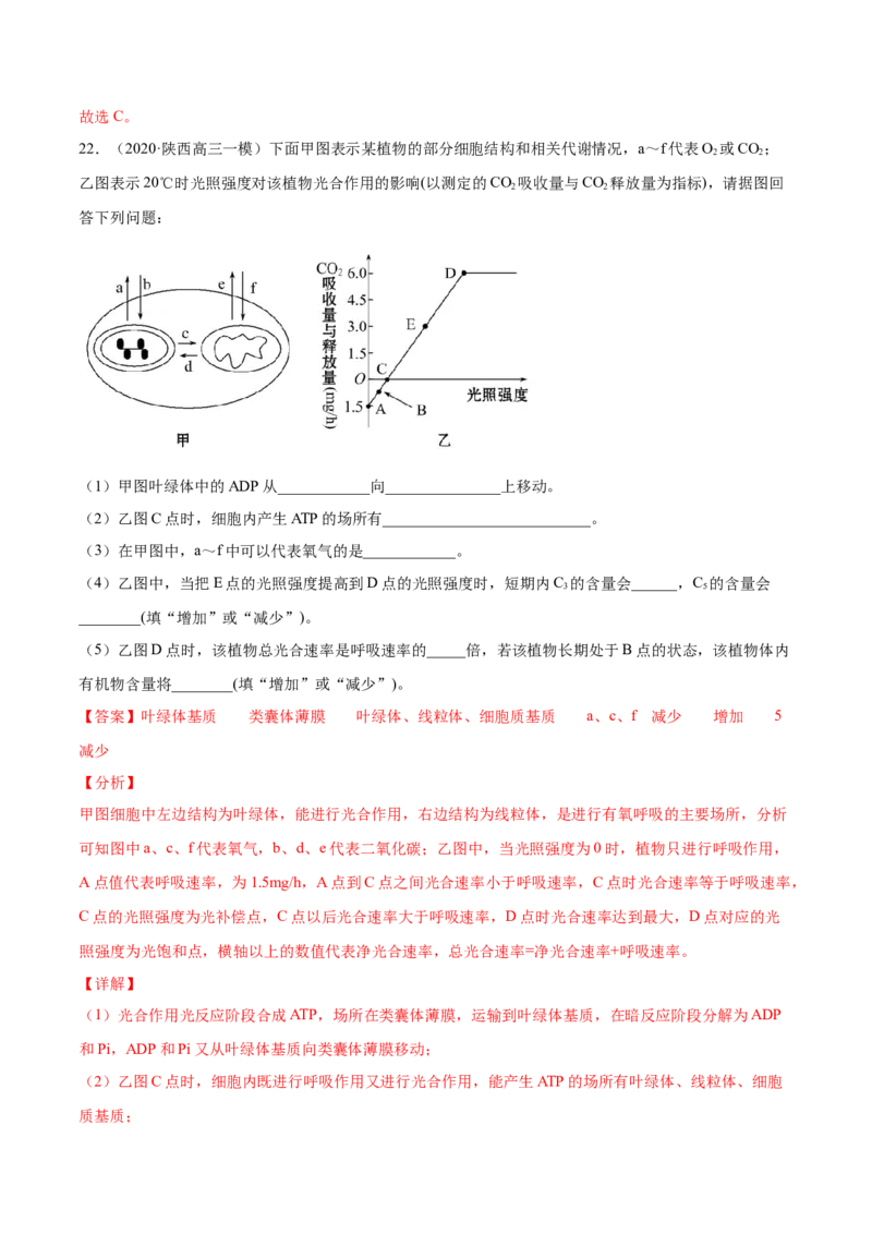专题03细胞呼吸与光合作用-2021年高考真题和模拟题生物分项汇编（解析版）_新高考复习资料_2022年新高考复习资料_2021年高考真题和模拟题生物分项汇编7.30更新