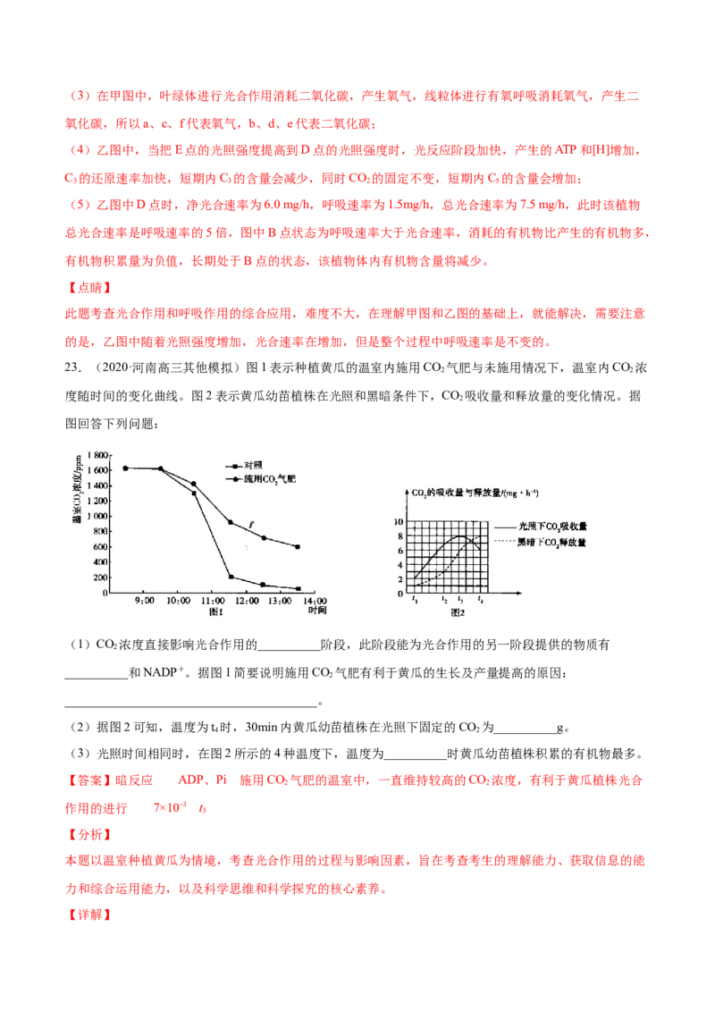 专题03细胞呼吸与光合作用-2021年高考真题和模拟题生物分项汇编（解析版）_新高考复习资料_2022年新高考复习资料_2021年高考真题和模拟题生物分项汇编7.30更新