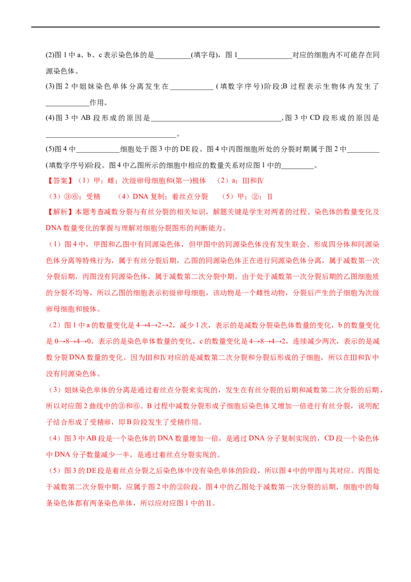 专题06减数分裂及受精作用（练）-2023年高考生物二轮复习讲练测（全国通用）（解析版）_通用版（老高考）复习资料_2023年复习资料_二轮复习_2023年高考生物二轮复习讲练测（全国通用）