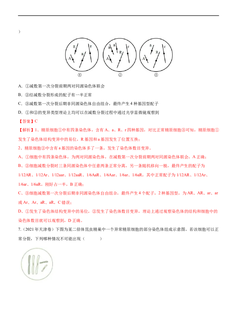 专题06减数分裂及受精作用（练）-2023年高考生物二轮复习讲练测（全国通用）（解析版）_通用版（老高考）复习资料_2023年复习资料_二轮复习_2023年高考生物二轮复习讲练测（全国通用）