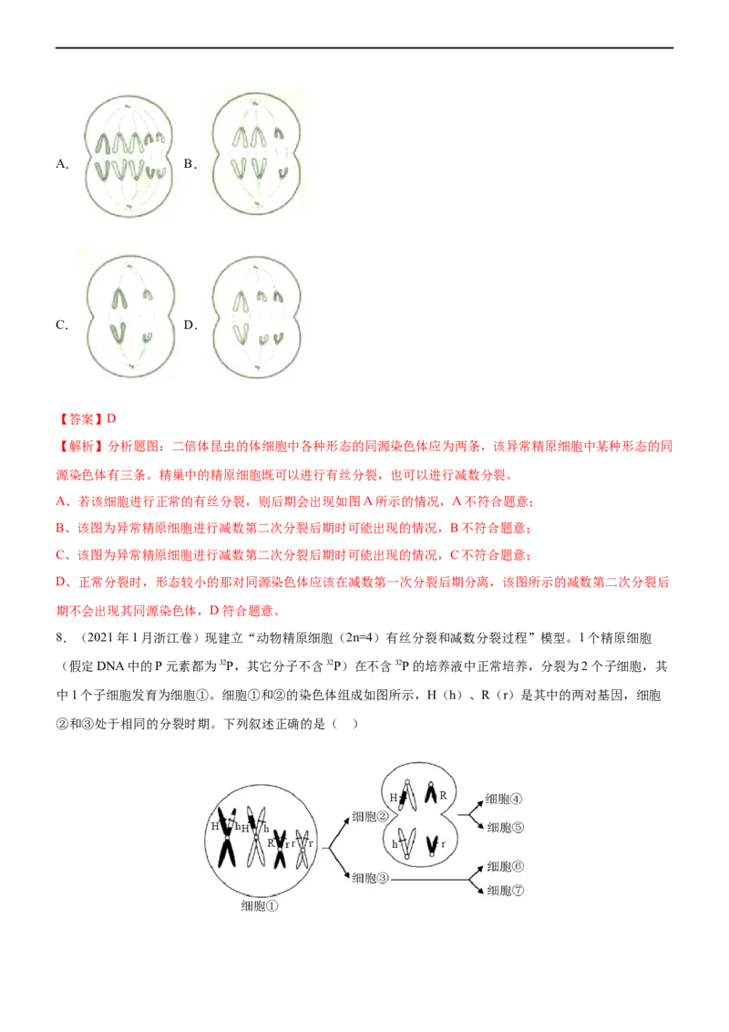 专题06减数分裂及受精作用（练）-2023年高考生物二轮复习讲练测（全国通用）（解析版）_通用版（老高考）复习资料_2023年复习资料_二轮复习_2023年高考生物二轮复习讲练测（全国通用）