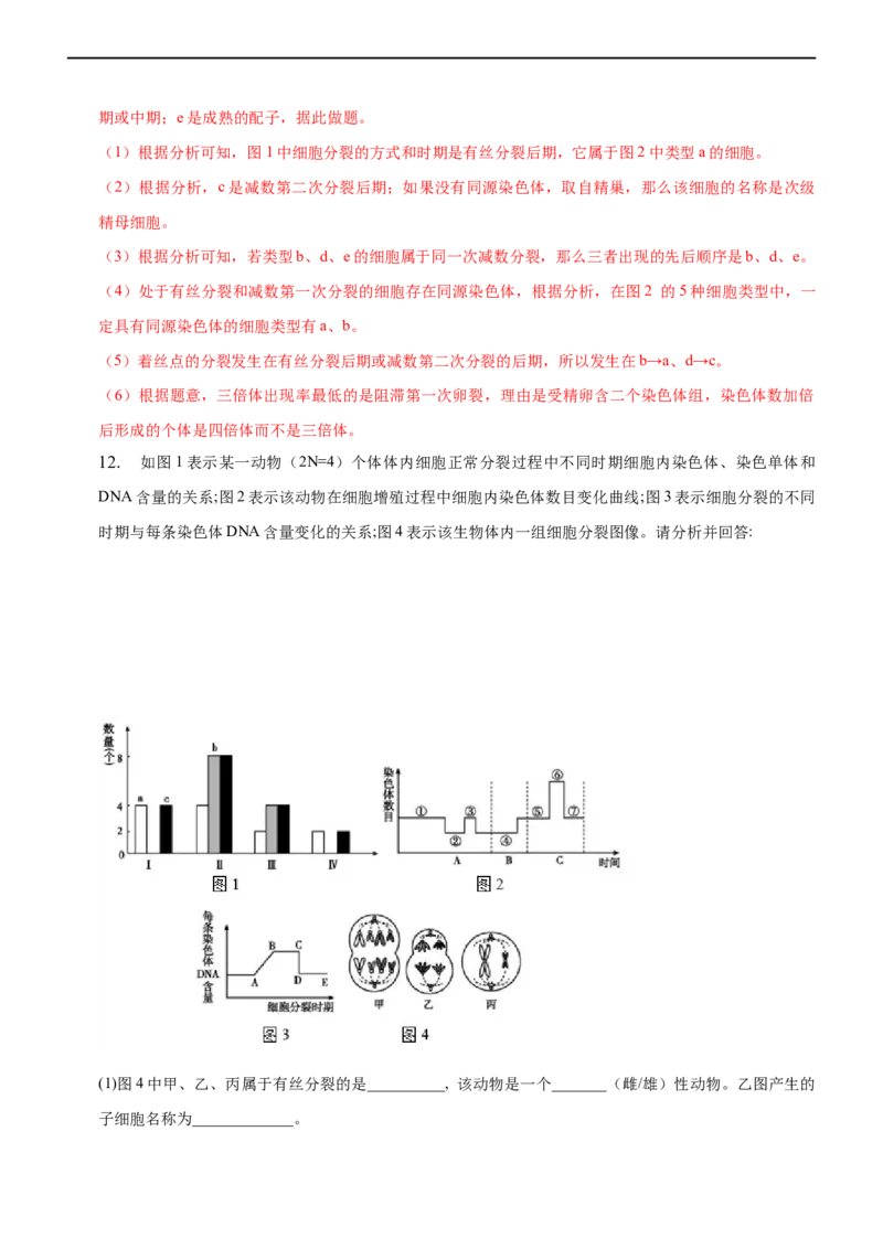 专题06减数分裂及受精作用（练）-2023年高考生物二轮复习讲练测（全国通用）（解析版）_通用版（老高考）复习资料_2023年复习资料_二轮复习_2023年高考生物二轮复习讲练测（全国通用）