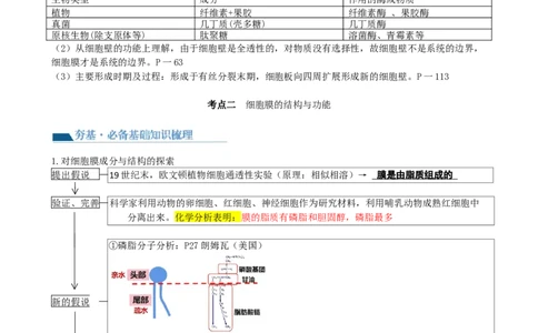 第5讲细胞膜和细胞核（讲义）（教师版）_2024年新高考资料_1.2024一轮复习_2024年高考生物一轮复习讲练测（新教材新高考）