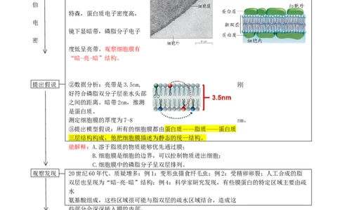 第5讲细胞膜和细胞核（讲义）（教师版）_2024年新高考资料_1.2024一轮复习_2024年高考生物一轮复习讲练测（新教材新高考）