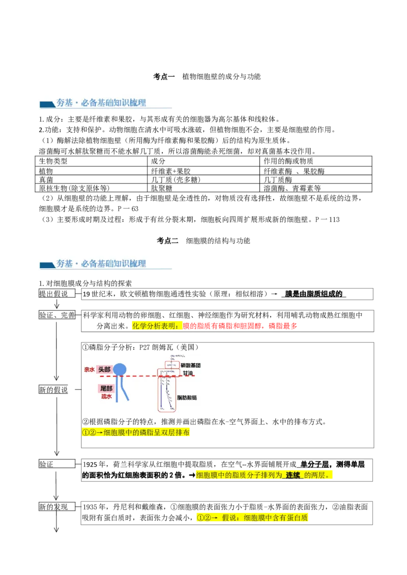 第5讲细胞膜和细胞核（讲义）（教师版）_2024年新高考资料_1.2024一轮复习_2024年高考生物一轮复习讲练测（新教材新高考）