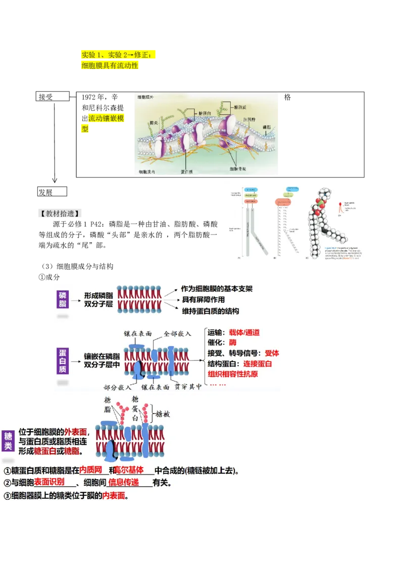 第5讲细胞膜和细胞核（讲义）（教师版）_2024年新高考资料_1.2024一轮复习_2024年高考生物一轮复习讲练测（新教材新高考）