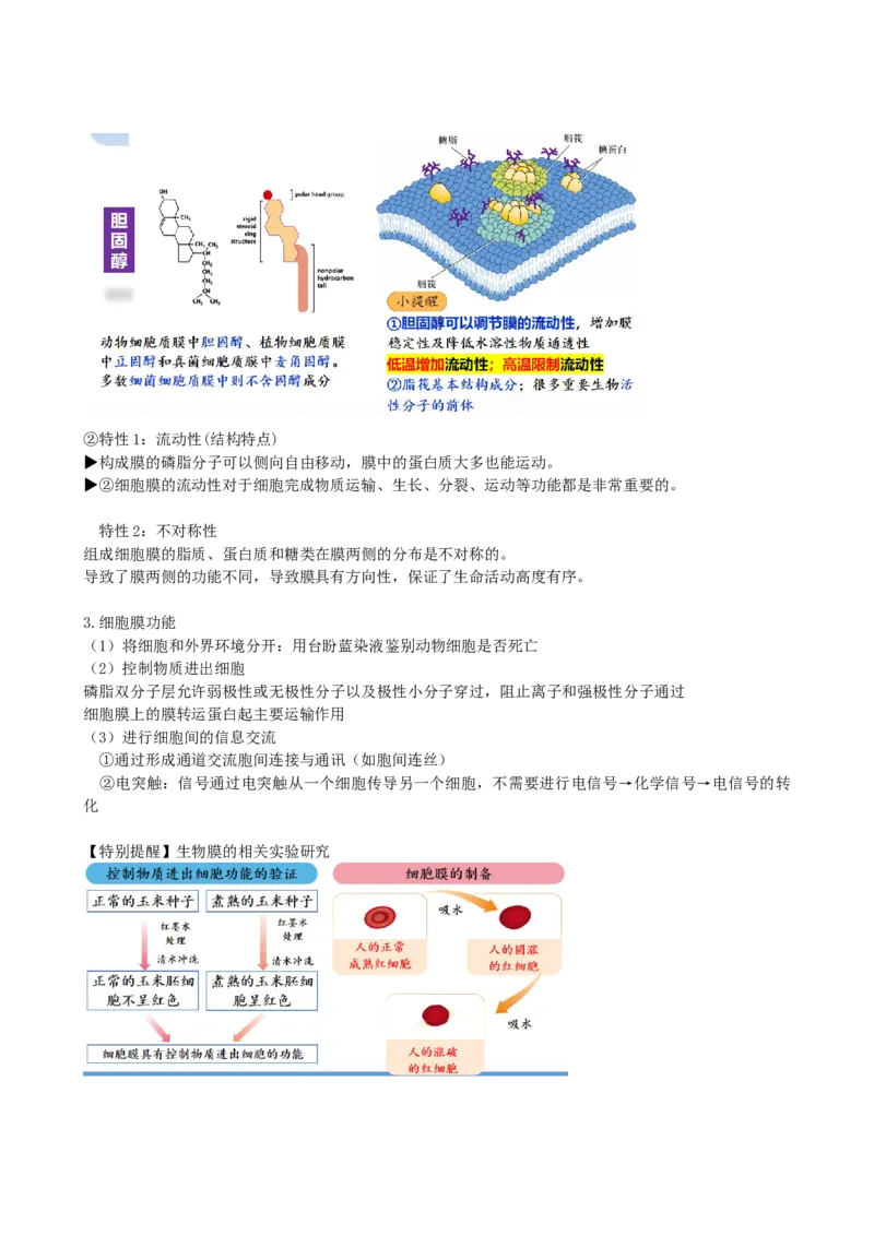 第5讲细胞膜和细胞核（讲义）（教师版）_2024年新高考资料_1.2024一轮复习_2024年高考生物一轮复习讲练测（新教材新高考）