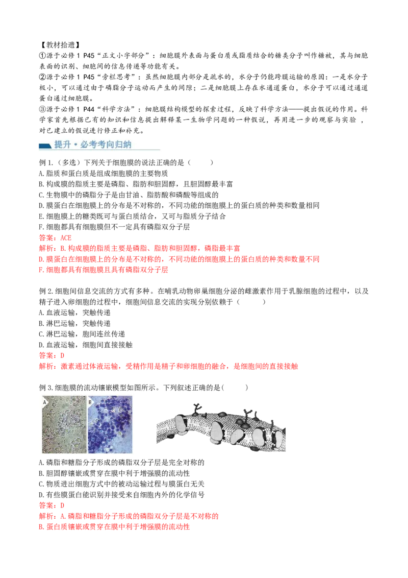 第5讲细胞膜和细胞核（讲义）（教师版）_2024年新高考资料_1.2024一轮复习_2024年高考生物一轮复习讲练测（新教材新高考）