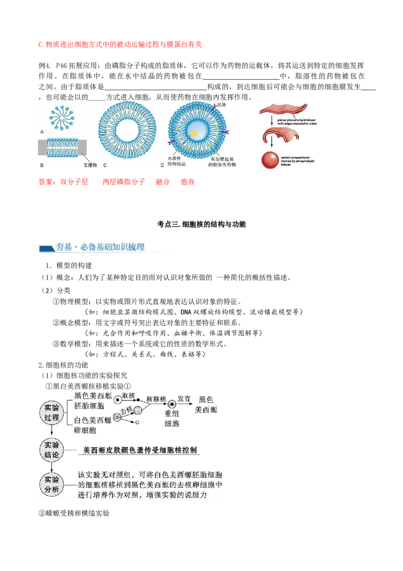 第5讲细胞膜和细胞核（讲义）（教师版）_2024年新高考资料_1.2024一轮复习_2024年高考生物一轮复习讲练测（新教材新高考）