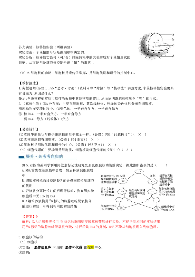 第5讲细胞膜和细胞核（讲义）（教师版）_2024年新高考资料_1.2024一轮复习_2024年高考生物一轮复习讲练测（新教材新高考）