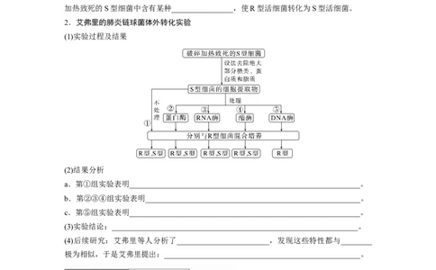 第6单元　第1课时　DNA是主要的遗传物质_2024年新高考资料_1.2024一轮复习_2024年高考生物一轮复习讲义（新人教版）_学生版在此文件夹_大一轮复习讲义_第六单元　遗传的物质基础