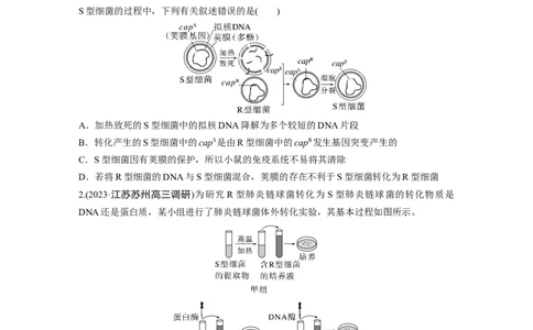 第6单元　第1课时　DNA是主要的遗传物质_2024年新高考资料_1.2024一轮复习_2024年高考生物一轮复习讲义（新人教版）_学生版在此文件夹_大一轮复习讲义_第六单元　遗传的物质基础