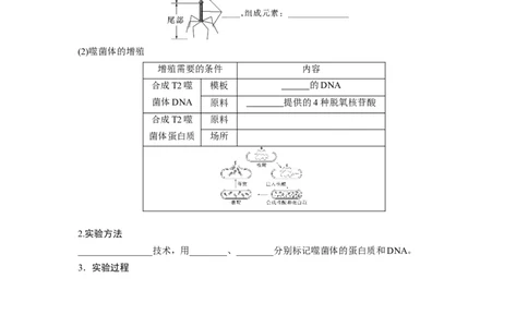 第6单元　第1课时　DNA是主要的遗传物质_2024年新高考资料_1.2024一轮复习_2024年高考生物一轮复习讲义（新人教版）_学生版在此文件夹_大一轮复习讲义_第六单元　遗传的物质基础