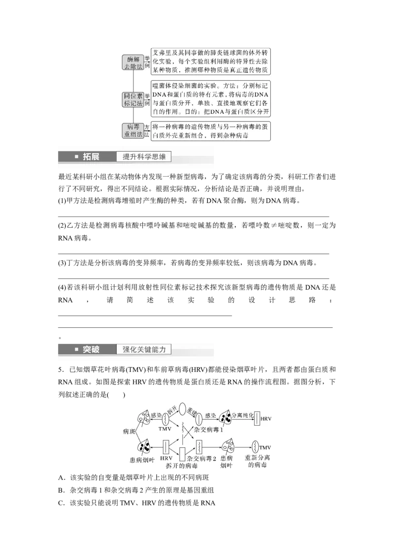 第6单元　第1课时　DNA是主要的遗传物质_2024年新高考资料_1.2024一轮复习_2024年高考生物一轮复习讲义（新人教版）_学生版在此文件夹_大一轮复习讲义_第六单元　遗传的物质基础