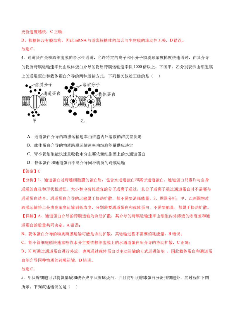 考点通关卷07物质运输（解析版）_2024年新高考资料_1.2024一轮复习_2024年高考生物一轮复习考点通关卷（新高考通用）_考点通关卷07+物质运输-2024年高考生物一轮复习考点通关卷