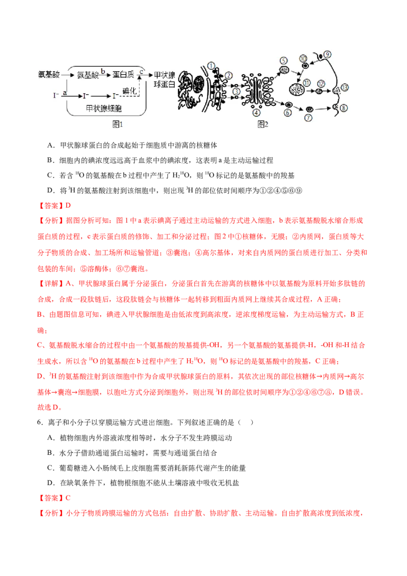 考点通关卷07物质运输（解析版）_2024年新高考资料_1.2024一轮复习_2024年高考生物一轮复习考点通关卷（新高考通用）_考点通关卷07+物质运输-2024年高考生物一轮复习考点通关卷
