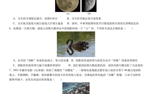 2024年中考押题预测卷02（浙江卷）-科学（考试版A4）_8、物理总复习_2024中考模拟题物理_押题预测_2024年中考押题预测卷02（浙江省卷）-科学（含考试版、全解全析、参考答案、答题卡）