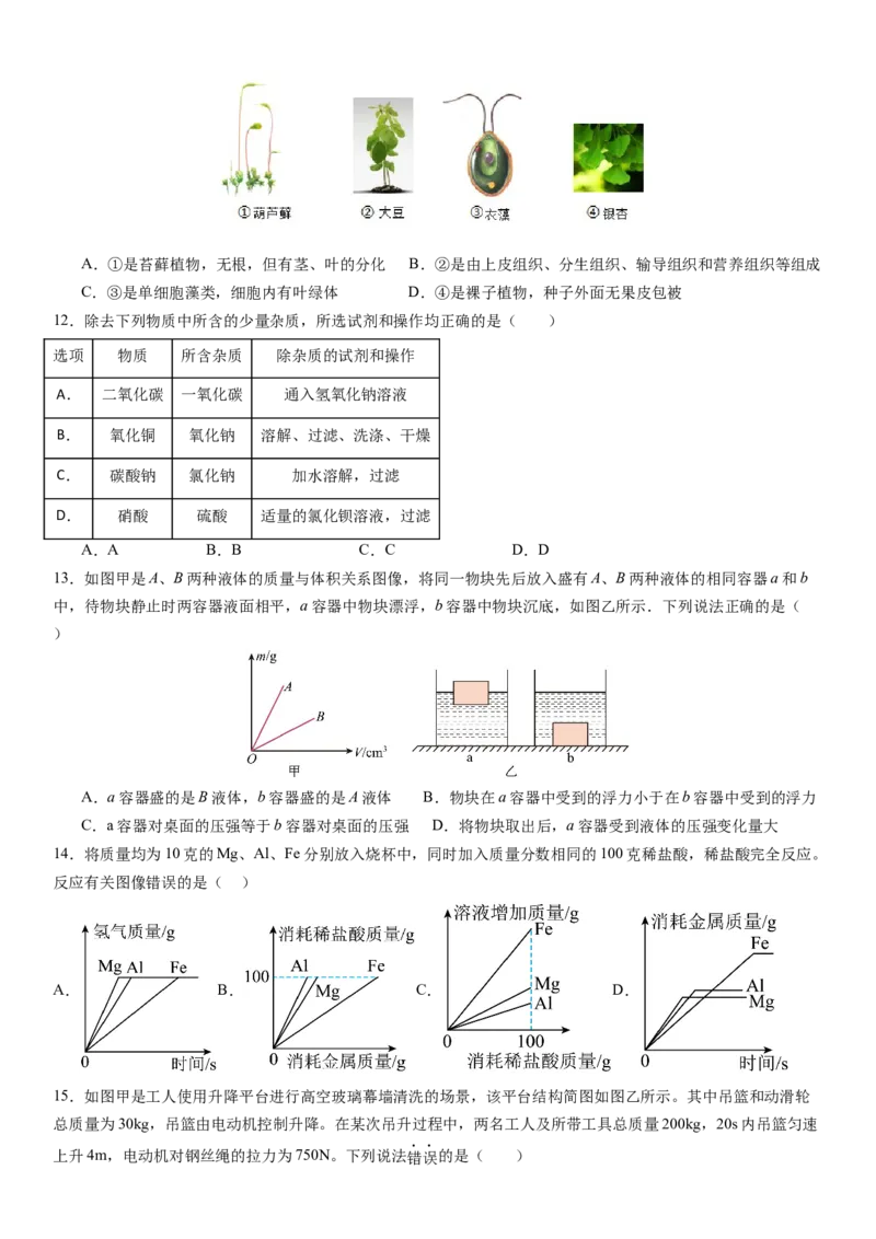 2024年中考押题预测卷02（浙江卷）-科学（考试版A4）_8、物理总复习_2024中考模拟题物理_押题预测_2024年中考押题预测卷02（浙江省卷）-科学（含考试版、全解全析、参考答案、答题卡）