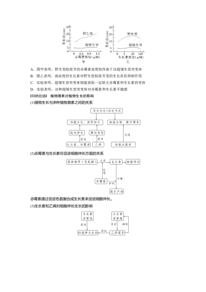 第8单元　第10课时　其他植物激素、植物生长调节剂及环境因素参与调节植物的生命活动_2024年新高考资料_1.2024一轮复习_2024年高考生物一轮复习讲义（新人教版）_学生版在此文件夹