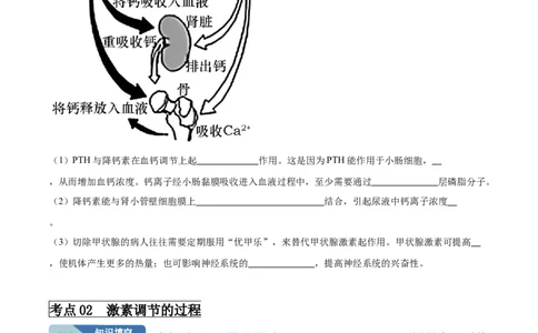 考点通关卷27体液调节（原卷版）_2024年新高考资料_1.2024一轮复习_2024年高考生物一轮复习考点通关卷（新高考通用）_考点通关卷27+体液调节-2024年高考生物一轮复习考点通关卷