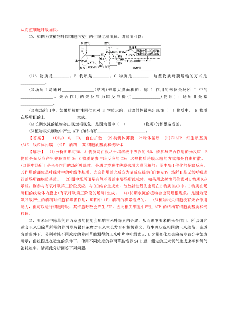 专题02细胞呼吸与光合作用的综合-备战2021年高考生物核心考点透析（解析版）_新高考复习资料_2021年新高考资料_备战2021年高考生物核心考点透析