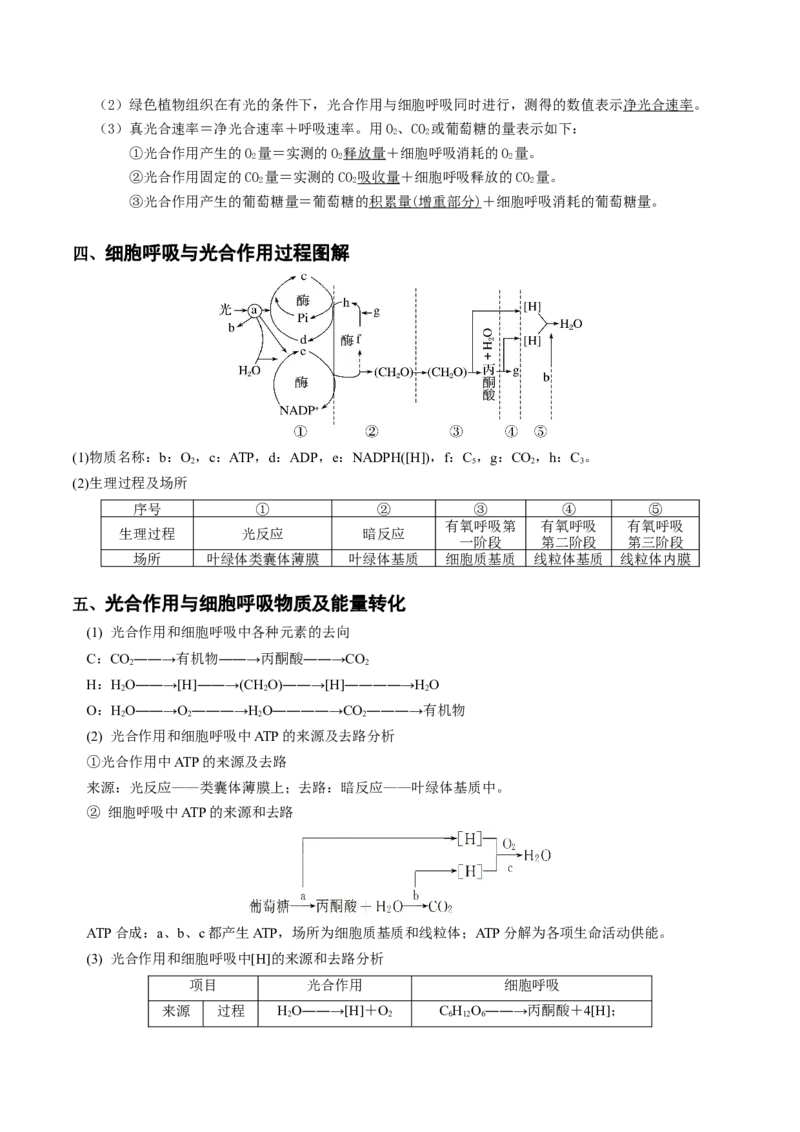 专题02细胞呼吸与光合作用的综合-备战2021年高考生物核心考点透析（解析版）_新高考复习资料_2021年新高考资料_备战2021年高考生物核心考点透析