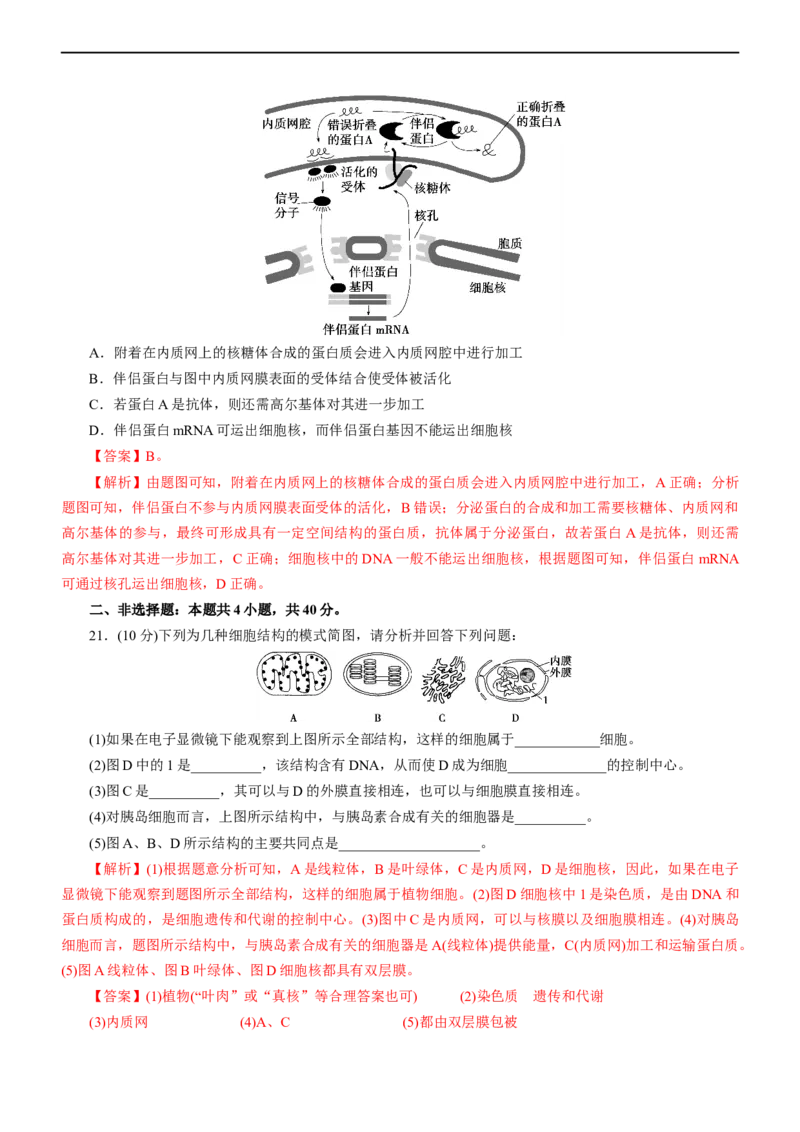 专题02细胞的结构和功能（测试卷）-2023年高考生物二轮复习讲练测（全国通用）（解析版）_通用版（老高考）复习资料_2023年复习资料_二轮复习