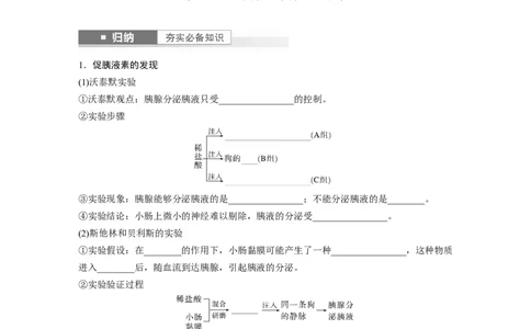 第8单元　第5课时　激素与内分泌系统、激素调节的过程_2024年新高考资料_1.2024一轮复习_2024年高考生物一轮复习讲义（新人教版）_学生版在此文件夹_大一轮复习讲义