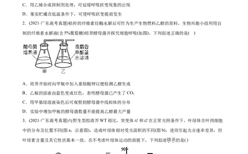 专题03细胞呼吸与光合作用-2021年高考生物真题与模拟题分类训练（学生版）_新高考复习资料_2023年新高考复习资料_一轮复习_2023年新高考大一轮复习讲义