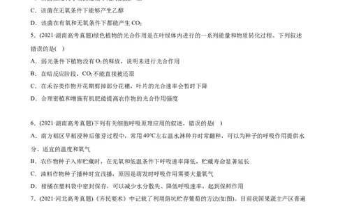专题03细胞呼吸与光合作用-2021年高考生物真题与模拟题分类训练（学生版）_新高考复习资料_2023年新高考复习资料_一轮复习_2023年新高考大一轮复习讲义