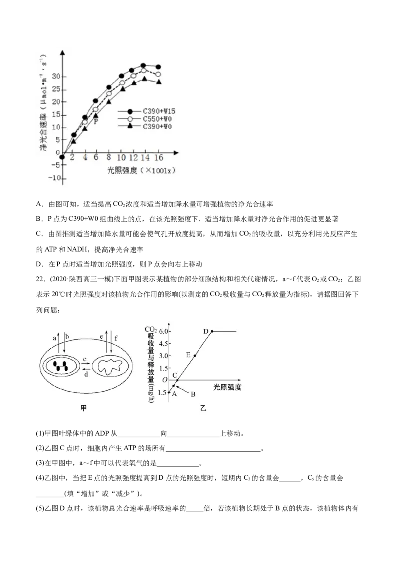 专题03细胞呼吸与光合作用-2021年高考生物真题与模拟题分类训练（学生版）_新高考复习资料_2023年新高考复习资料_一轮复习_2023年新高考大一轮复习讲义