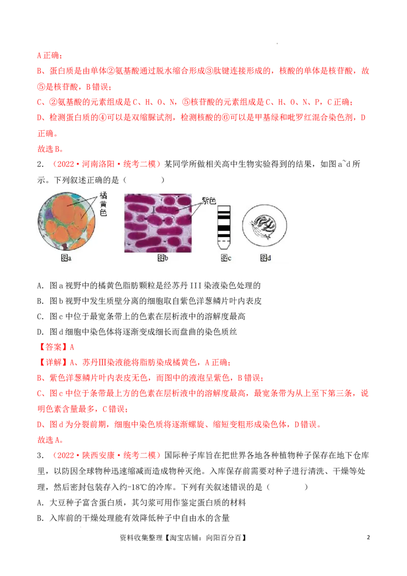 专题01细胞的分子组成（解析版）_新高考复习资料_2024年新高考复习资料_一轮复习资料_完备战2024年高考生物一轮复习重难点突破讲解与训练（新教材）_专题01细胞的分子组成