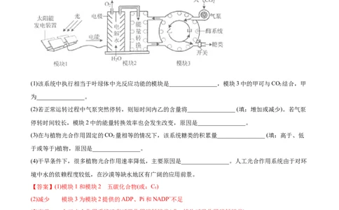 专题04光合作用-2020年高考真题和模拟题生物分项汇编（教师版含解析）_新高考复习资料_2022年新高考复习资料_2022年一轮复习最新版_1.2022年高考生物一轮复习全国通用版