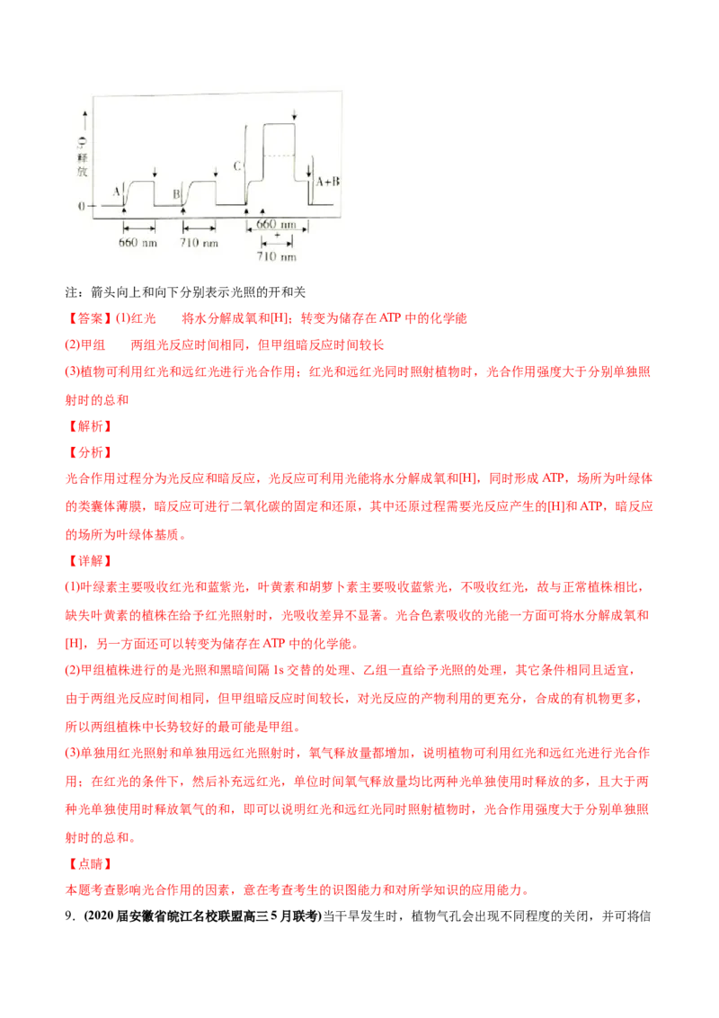 专题04光合作用-2020年高考真题和模拟题生物分项汇编（教师版含解析）_新高考复习资料_2022年新高考复习资料_2022年一轮复习最新版_1.2022年高考生物一轮复习全国通用版