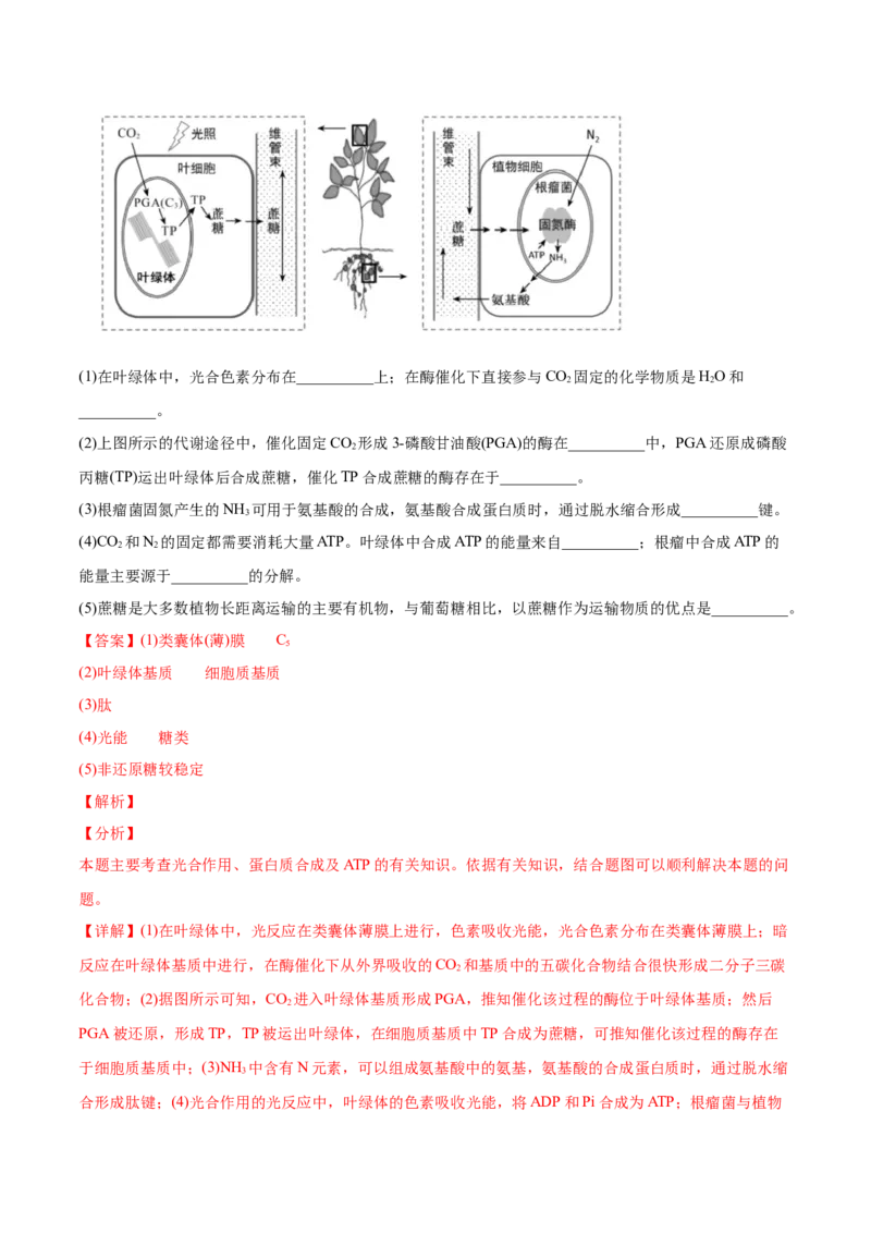 专题04光合作用-2020年高考真题和模拟题生物分项汇编（教师版含解析）_新高考复习资料_2022年新高考复习资料_2022年一轮复习最新版_1.2022年高考生物一轮复习全国通用版