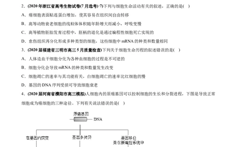 专题06细胞的分化、衰老、凋亡及癌变-2020年高考真题和模拟题生物分项汇编（学生版）_新高考复习资料_2022年新高考复习资料_2022年一轮复习最新版