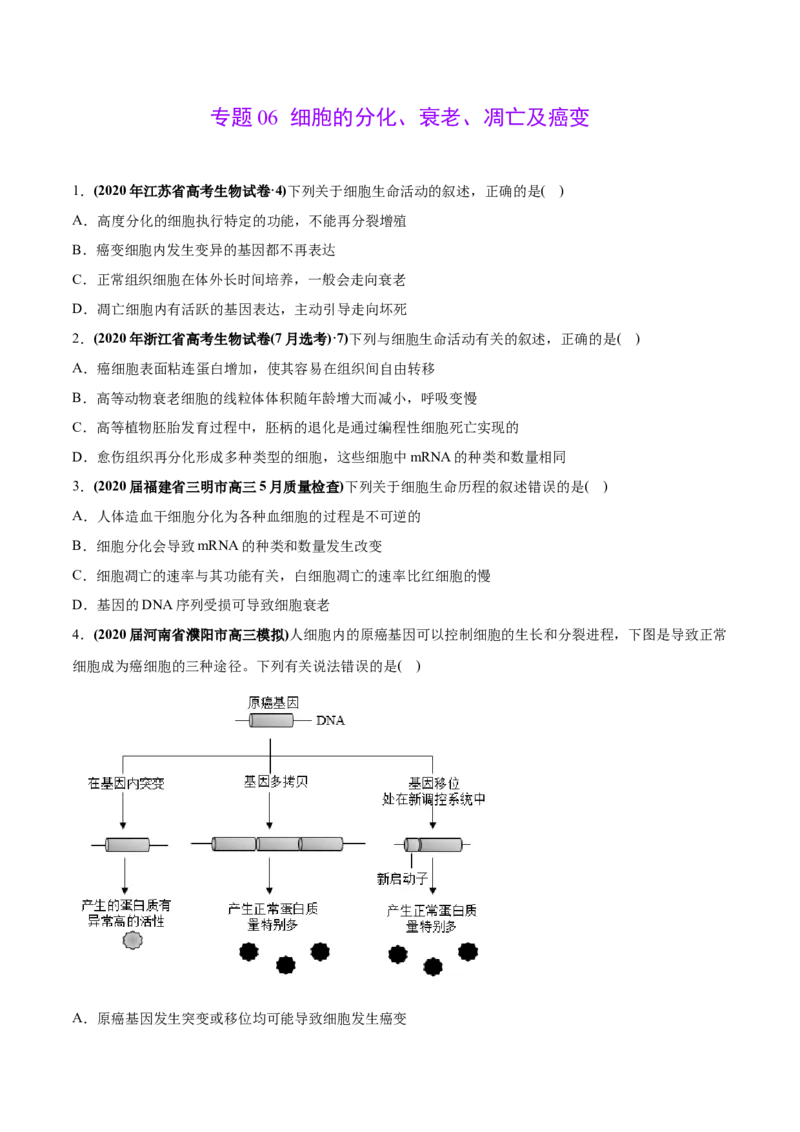 专题06细胞的分化、衰老、凋亡及癌变-2020年高考真题和模拟题生物分项汇编（学生版）_新高考复习资料_2022年新高考复习资料_2022年一轮复习最新版