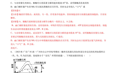 第8.1讲降低化学反应活化能的酶（练习）（解析版）_2024年新高考资料_1.2024一轮复习_2024年高考生物一轮复习讲练测（新教材新高考）