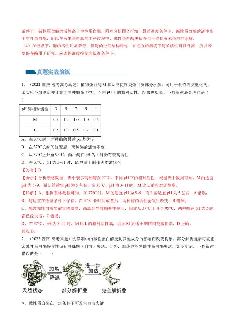 第8.1讲降低化学反应活化能的酶（练习）（解析版）_2024年新高考资料_1.2024一轮复习_2024年高考生物一轮复习讲练测（新教材新高考）