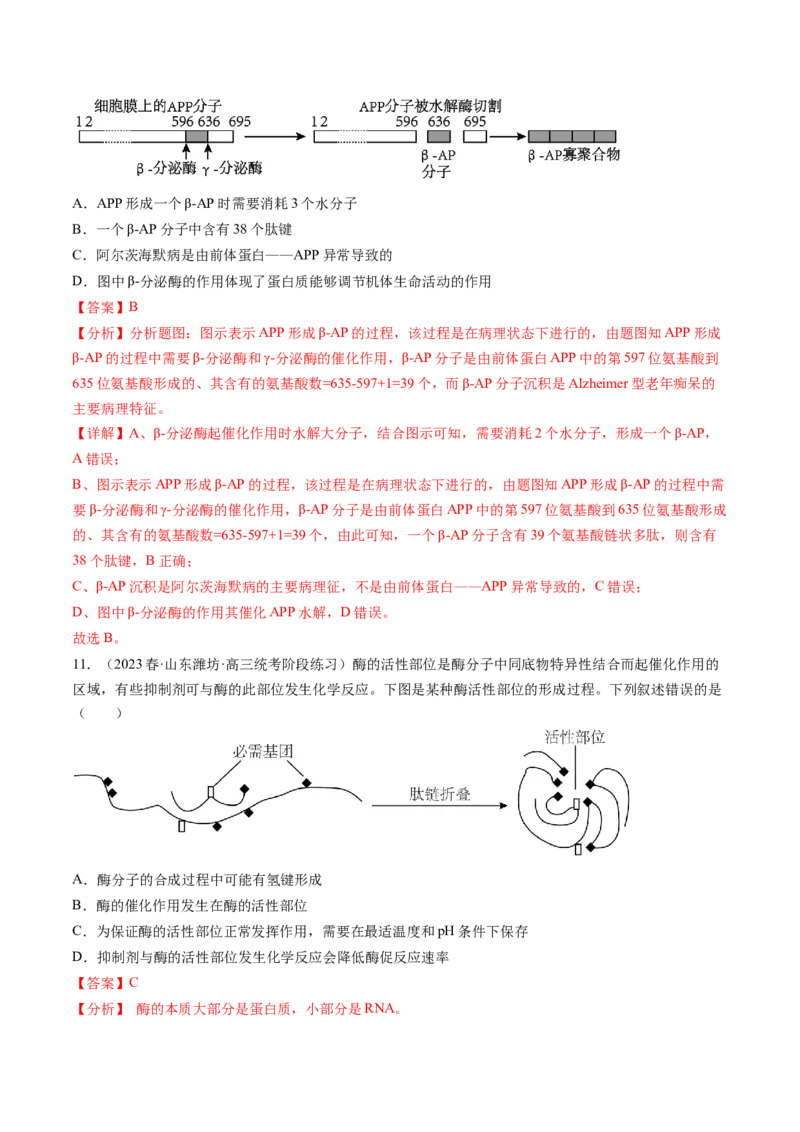 第8.1讲降低化学反应活化能的酶（练习）（解析版）_2024年新高考资料_1.2024一轮复习_2024年高考生物一轮复习讲练测（新教材新高考）
