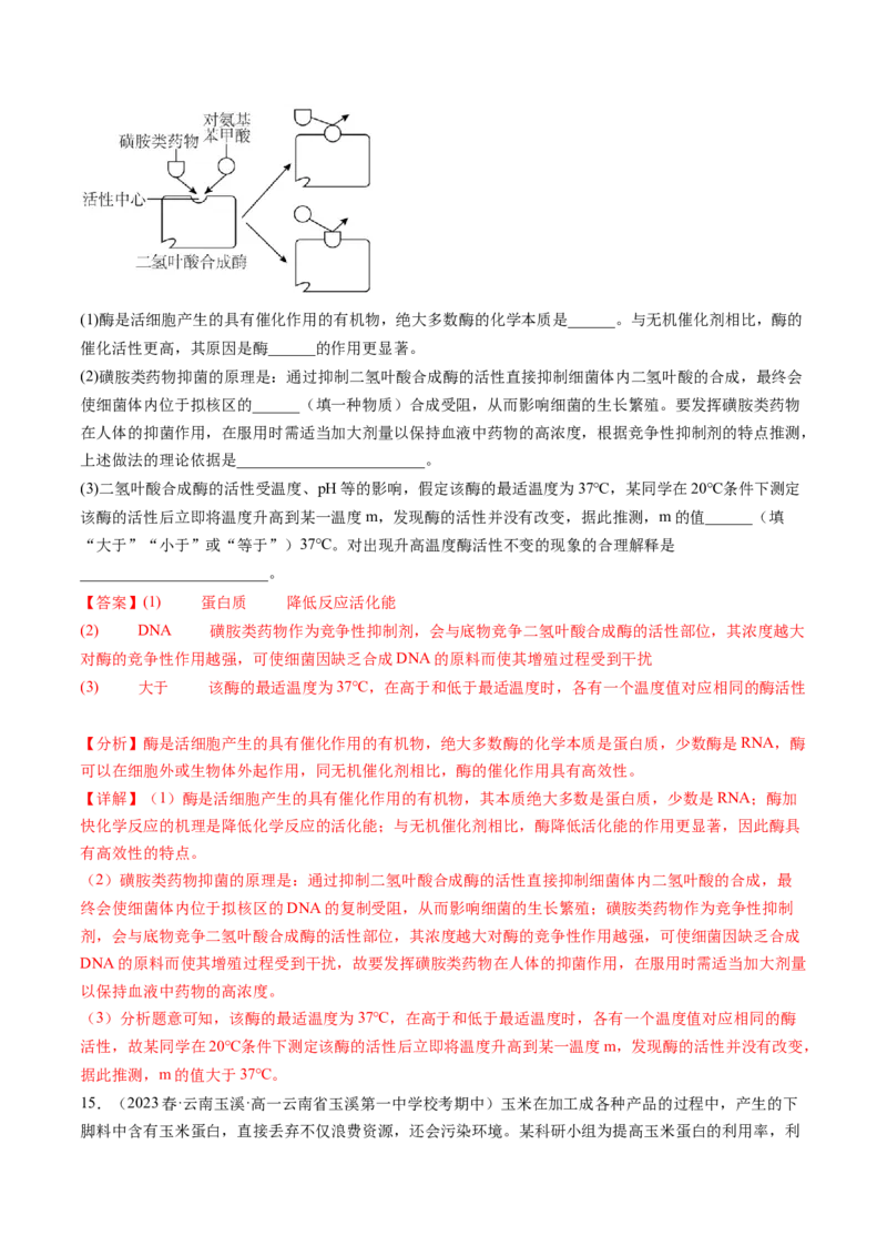 第8.1讲降低化学反应活化能的酶（练习）（解析版）_2024年新高考资料_1.2024一轮复习_2024年高考生物一轮复习讲练测（新教材新高考）