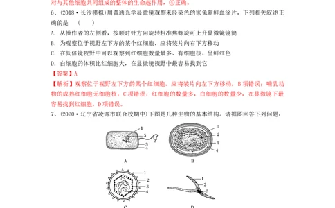 专题01走近细胞（精练）（解析版）_新高考复习资料_2024年新高考复习资料_一轮复习资料_完备战2024年高考生物一轮复习串讲精练（新高考专用）_精练_解析版