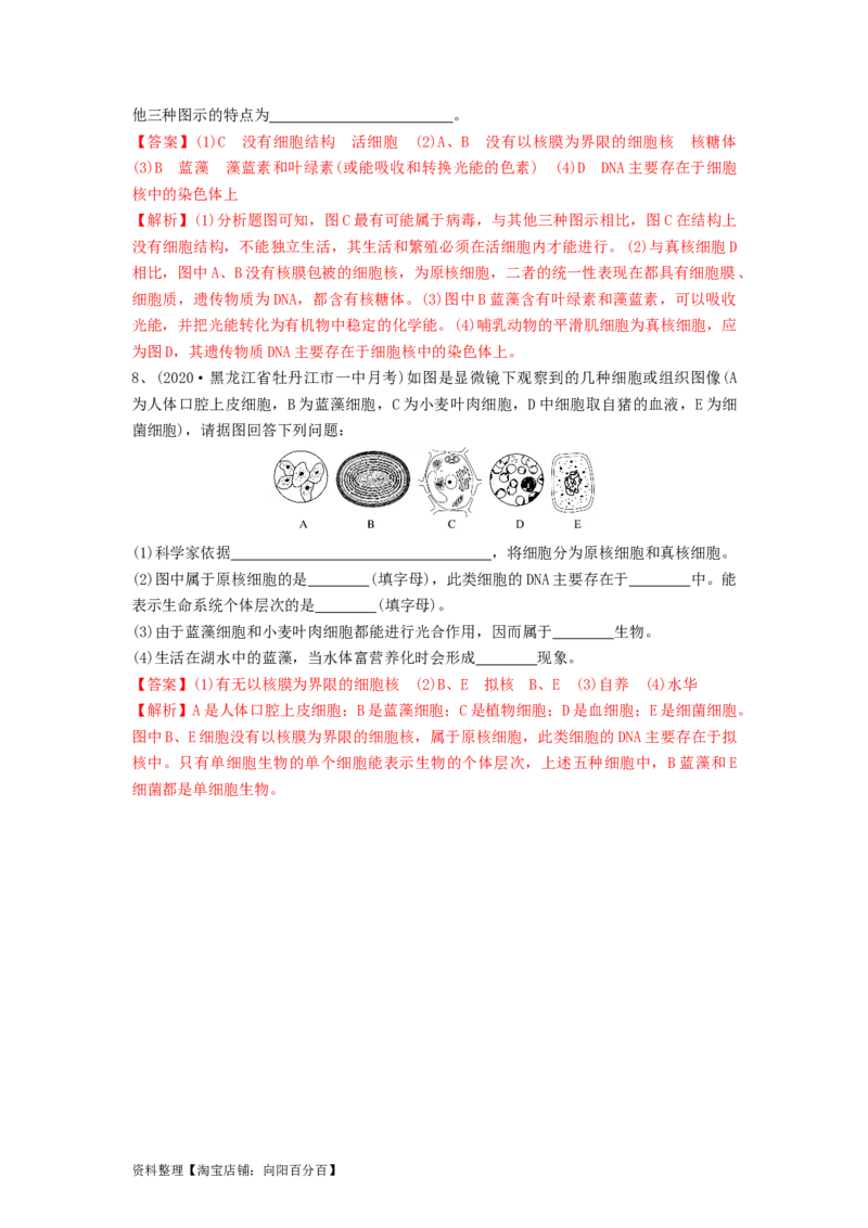 专题01走近细胞（精练）（解析版）_新高考复习资料_2024年新高考复习资料_一轮复习资料_完备战2024年高考生物一轮复习串讲精练（新高考专用）_精练_解析版
